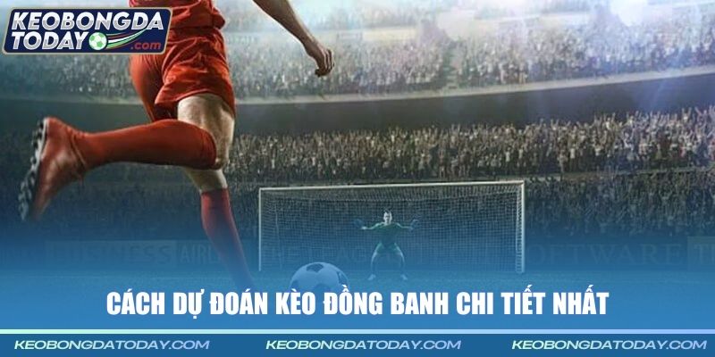 Cách dự đoán kèo đồng banh chi tiết nhất