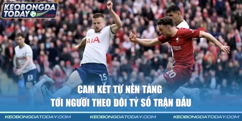 Cam kết từ nền tảng tới người theo dõi tỷ số trận đấu