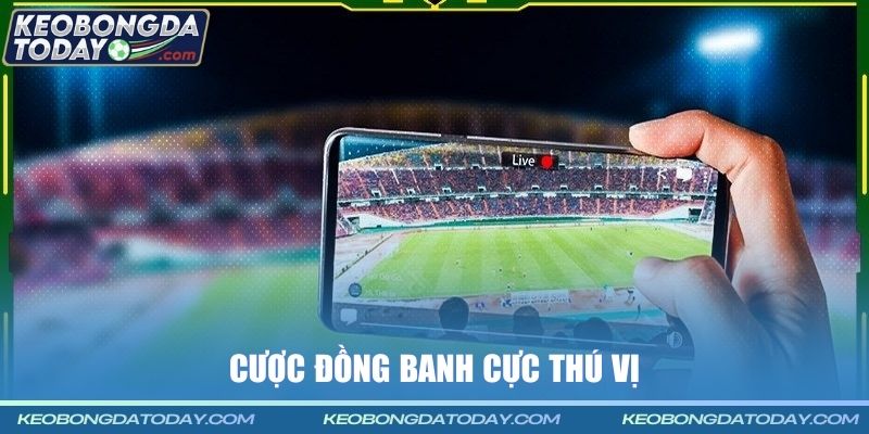 Cược đồng banh cực thú vị
