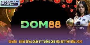 DOM88
