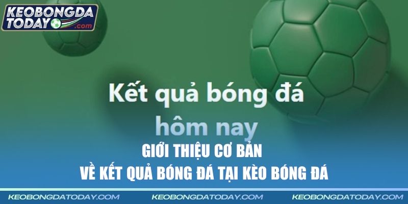 Giới thiệu cơ bản về kết quả bóng đá tại Kèo Bóng Đá