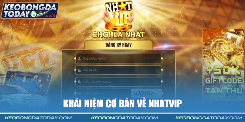 Khái niệm cơ bản về Nhatvip