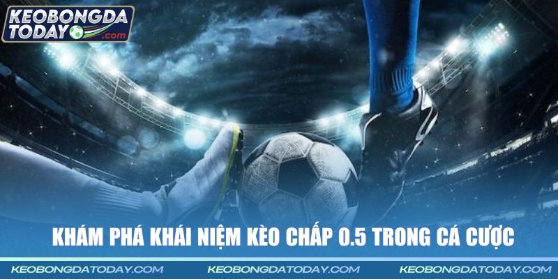 Khám phá khái niệm kèo chấp 0.5 trong cá cược
