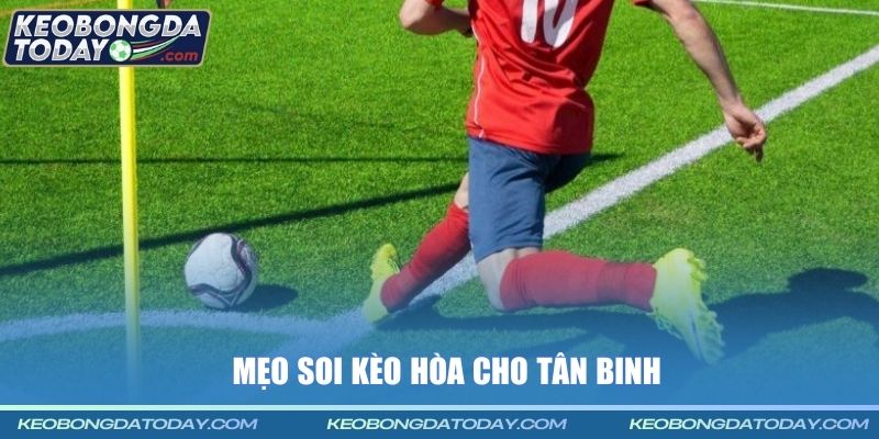 Mẹo soi kèo hòa cho tân binh