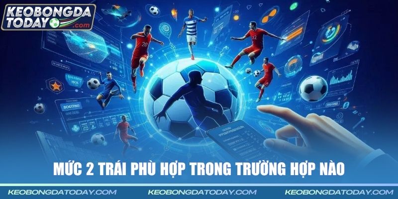 Mức 2 trái phù hợp trong trường hợp nào