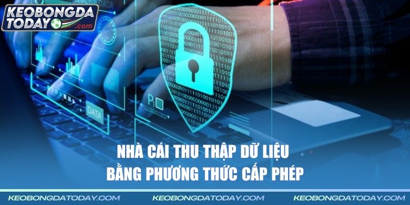 Nhà cái thu thập dữ liệu bằng phương thức cấp phép