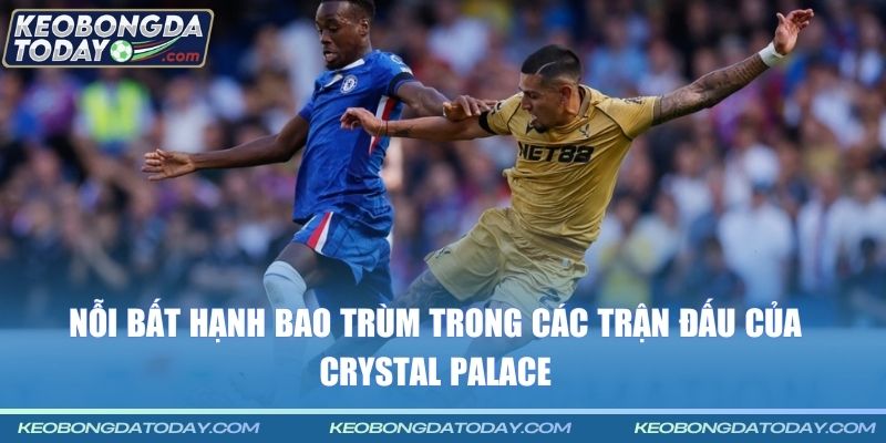 Nỗi bất hạnh bao trùm trong các trận đấu của Crystal Palace