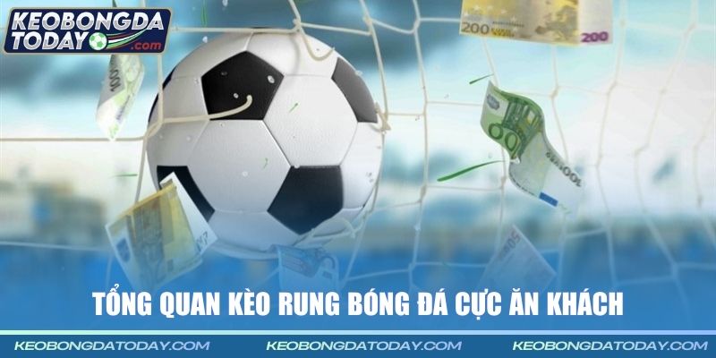 Tổng quan kèo rung bóng đá cực ăn khách