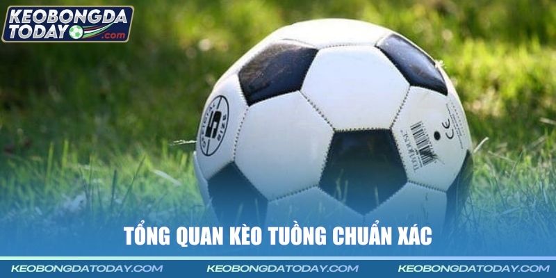 Tổng quan kèo tuồng chuẩn xác