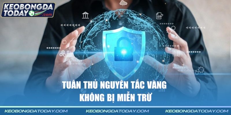 Tuân thủ nguyên tắc vàng không bị miễn trừ